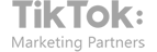 TikTok Marketing Partners